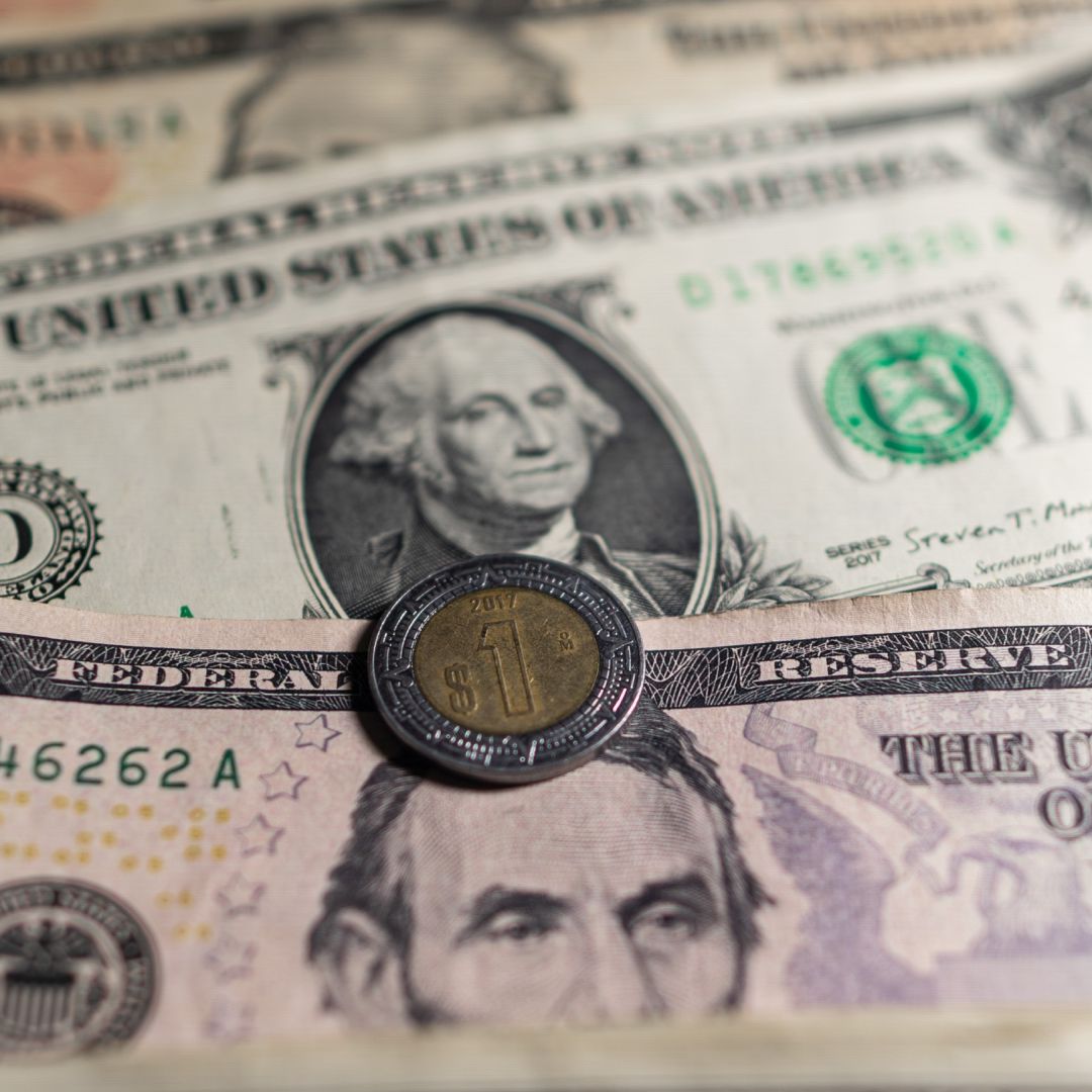 Tipo de cambio peso dólar. Foto: N+